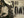 Blotched Type