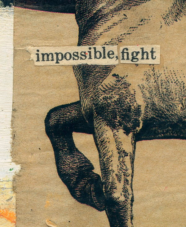 The Impossible Fight