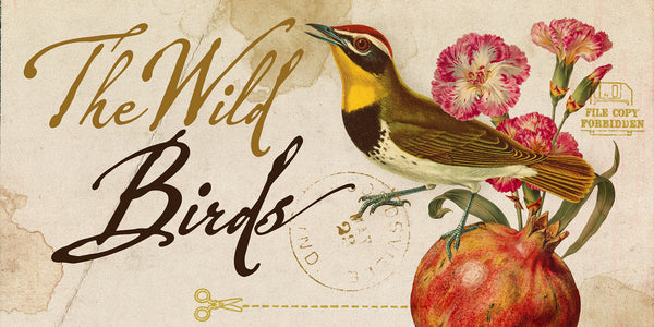 Wild Letters